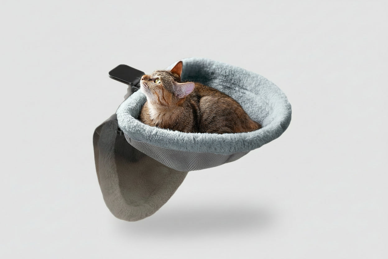 NovaNest floating pet lounge clipped onto a modern desk with a cat resting inside