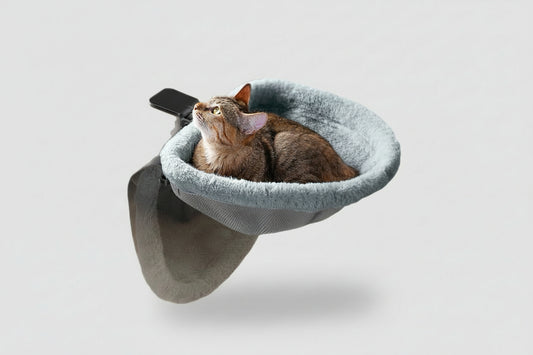 NovaNest floating pet lounge clipped onto a modern desk with a cat resting inside